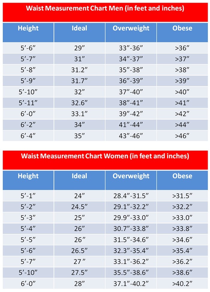 waist-measurement-chart